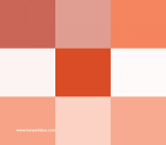 By Express Kargo Mersin Yenişehir Şubesi