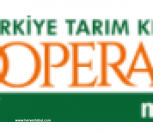 Tarım Kredi Kooperatifi Market Ağrı Doğubeyazıt Şubesi